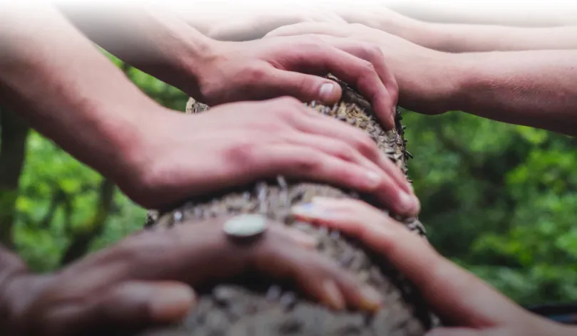 People putting their hands together on a tree